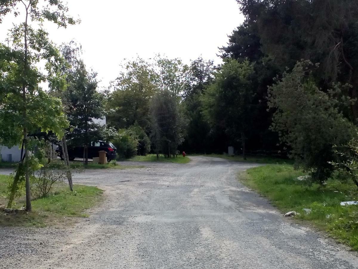 Villa D'Eau Douce Les Achards  Eksteriør billede